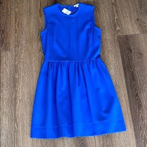NWT! Blue Gap dress